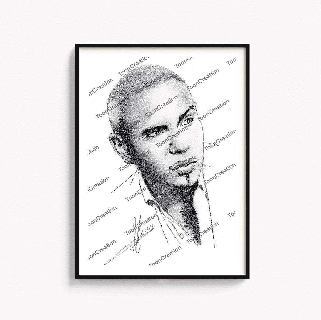 Pitbull - 2011