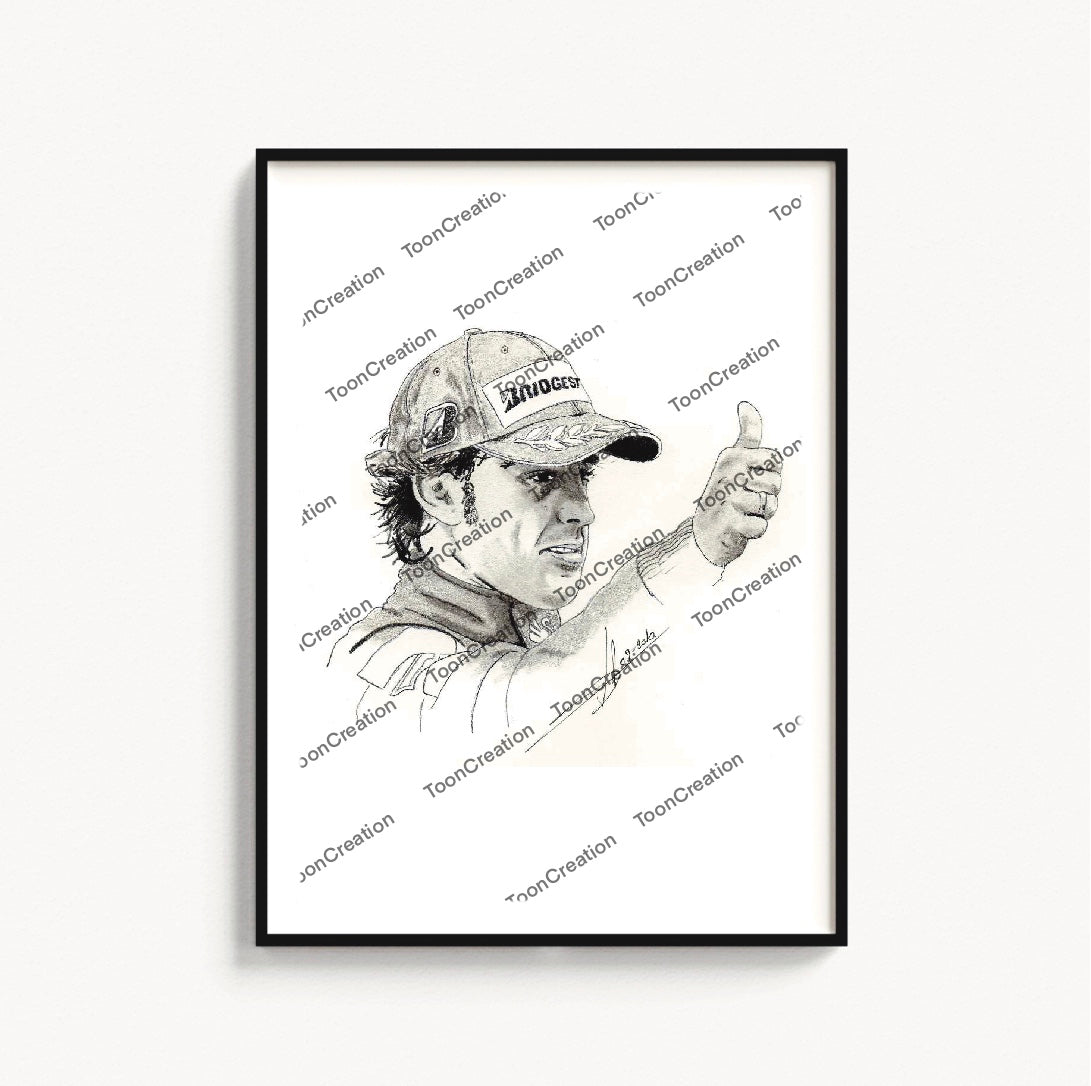 Fernando Alonso - 2010/2014 - Scuderia Ferrari - Formule 1