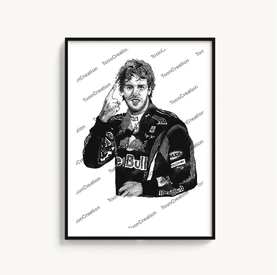 Sebastien Vettel - 2009/2014 - Red Bull Racing - Formule 1
